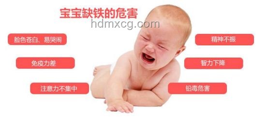 Nature研究：孕期缺铁致胚胎性别逆转的意义及解决方案